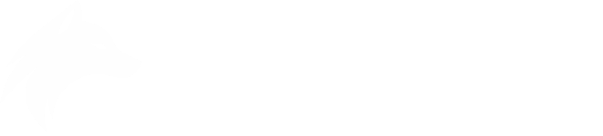BSTech